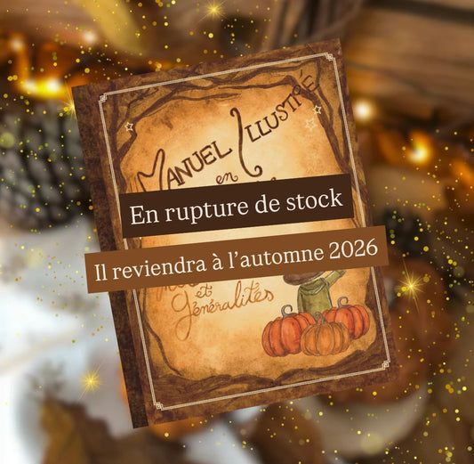 Manuel illustré en Santé Mentale - Tome 1