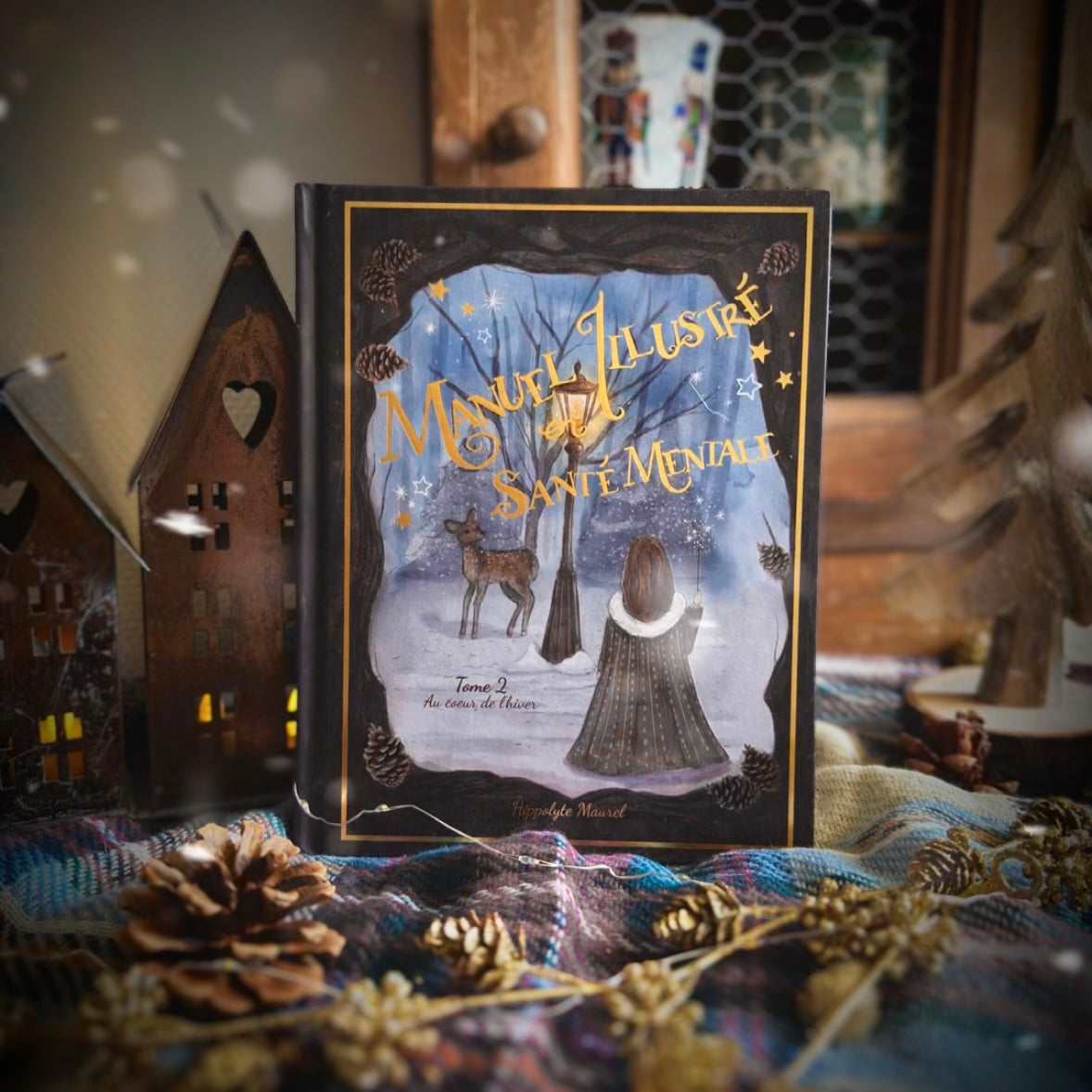 Manuel illustré en Santé Mentale - Tome 2 - Au coeur de l'hiver