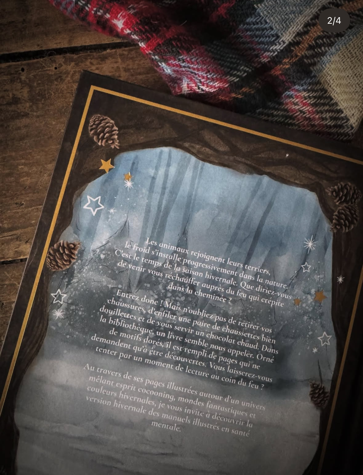 Manuel illustré en Santé Mentale - Tome 2 - Au coeur de l'hiver