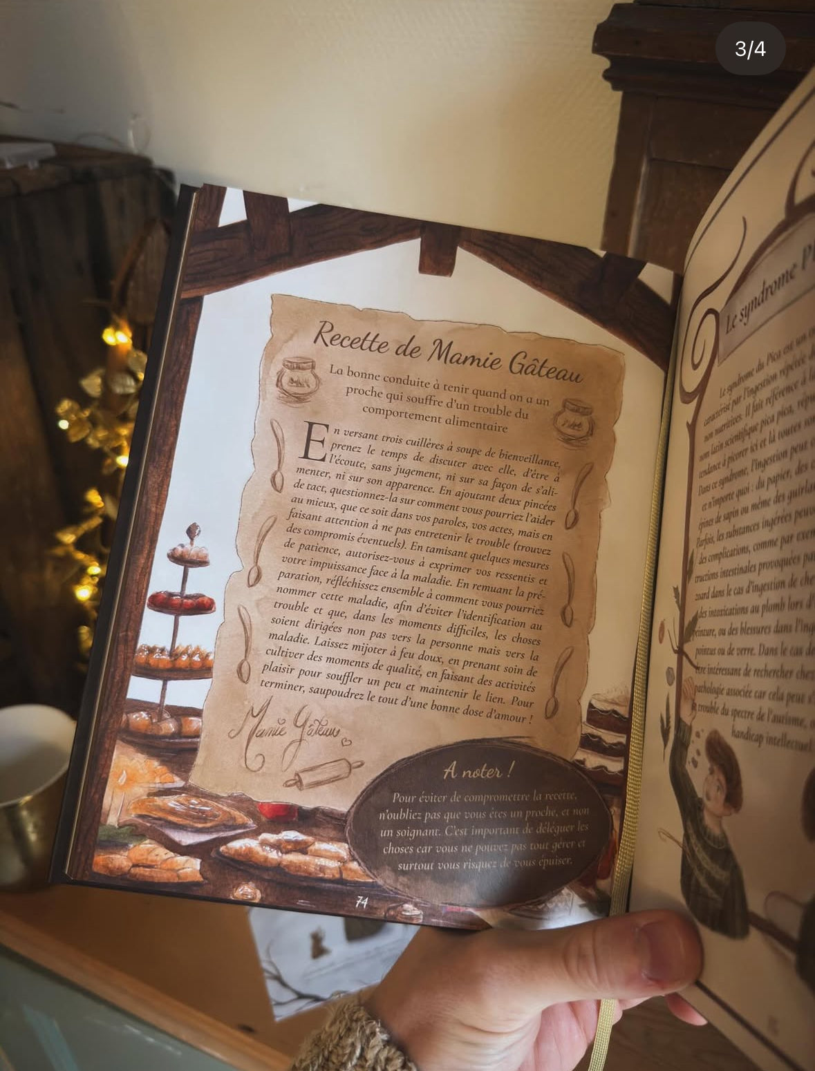 Manuel illustré en Santé Mentale - Tome 2 - Au coeur de l'hiver