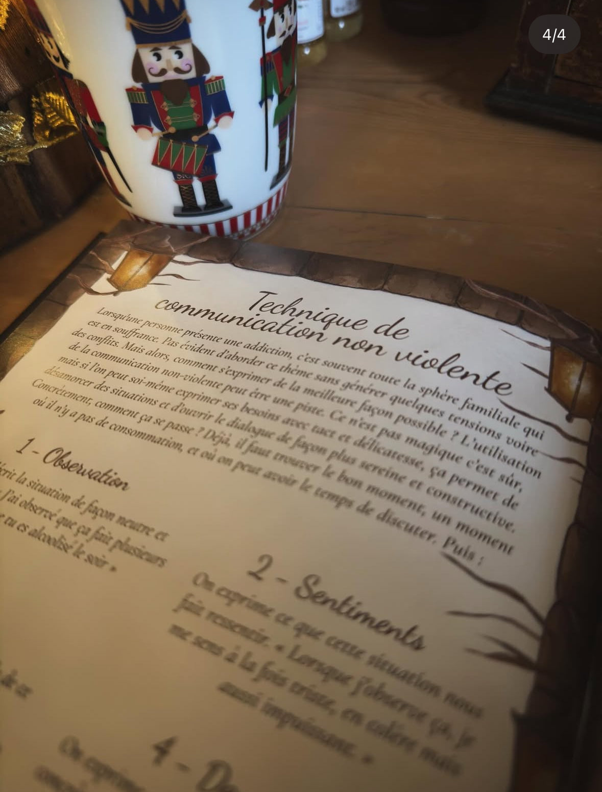 Manuel illustré en Santé Mentale - Tome 2 - Au coeur de l'hiver