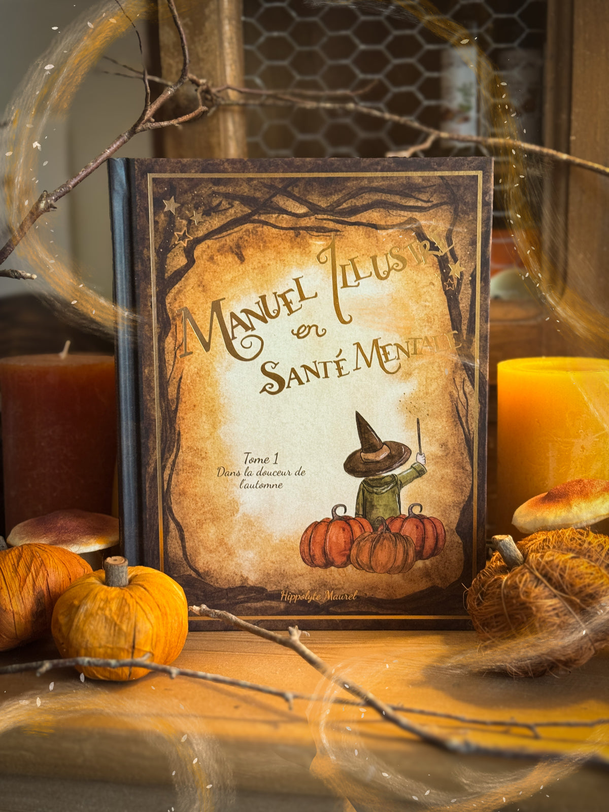 Manuel illustré en Santé Mentale - Tome 1 - Dans la douceur de l'automne