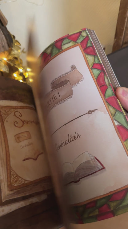 Manuel illustré en Santé Mentale - Tome 2 - Au coeur de l'hiver